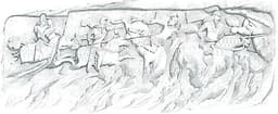Ardashir III