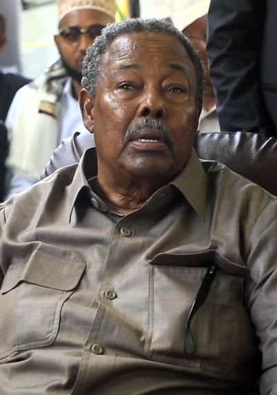 Ali Mahdi Mohamed