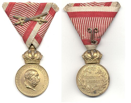 Svetozar Boroevic