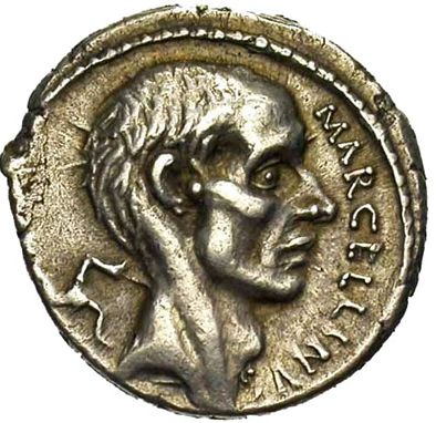 Viridomarus